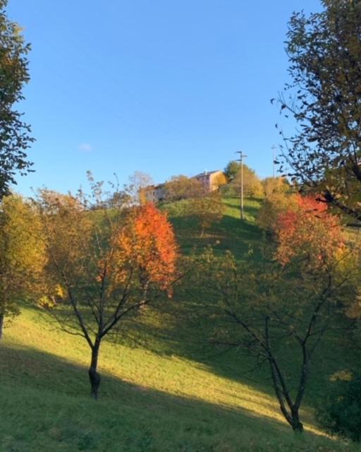 La Corte Di Cesio Monfumo Exteriér fotografie